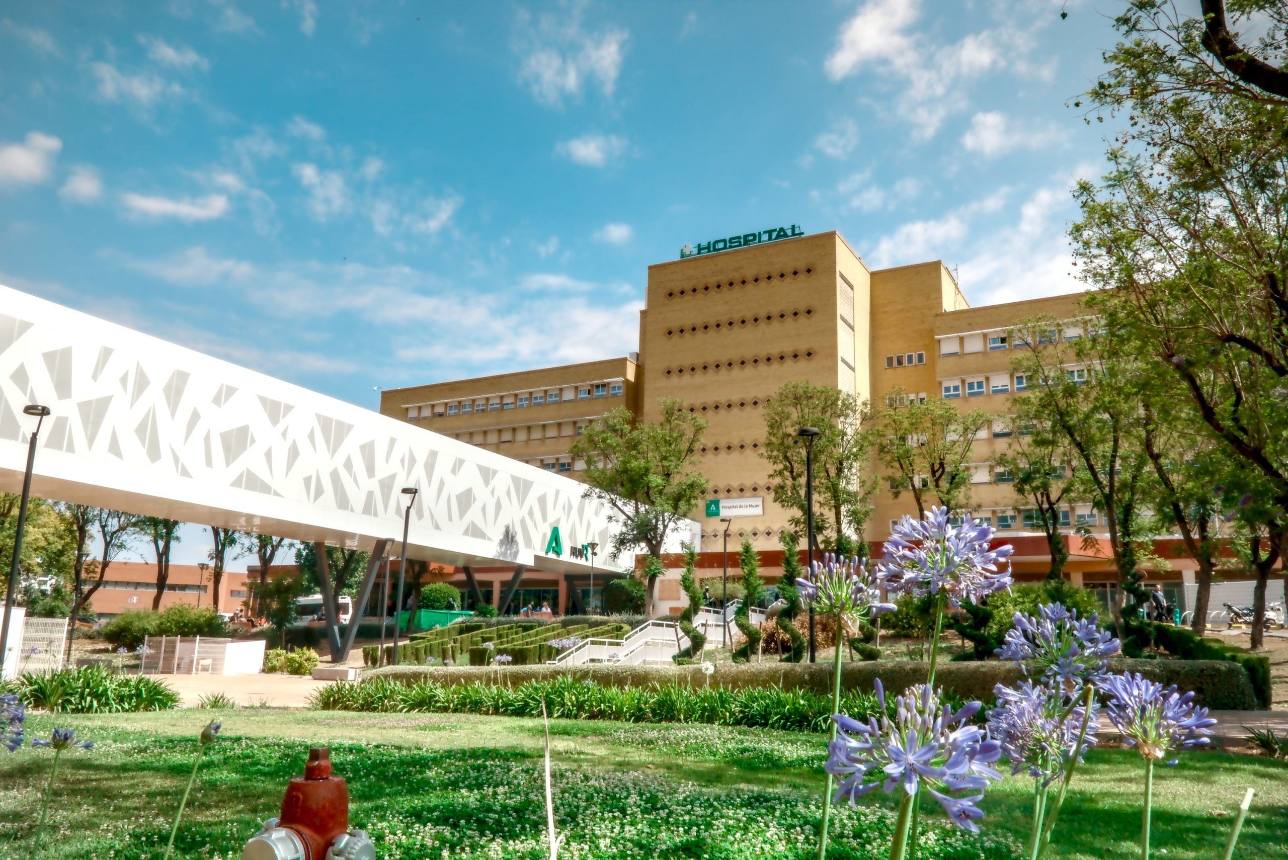 Entorno Hospital Universitario Virgen del Rocío, Sevilla