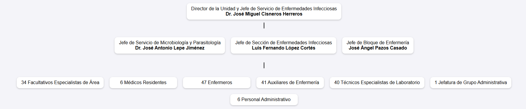 organigrama enfermedades infecciosas