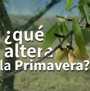 portada alergias